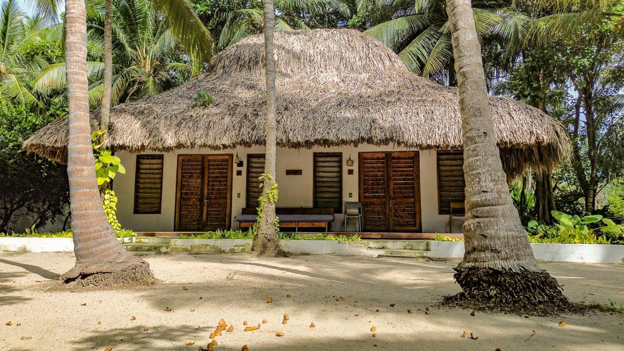 بوريتاكا Viajero Tayrona Hostel & Ecohabs الغرفة الصورة